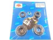 KIT RETENES DE MOTOR ZANELLA DUE